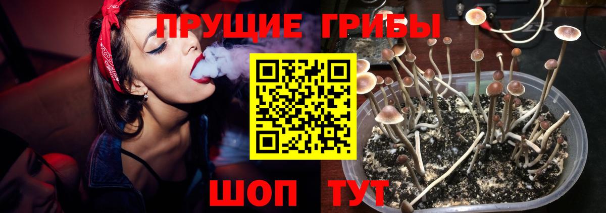 закладка  Вход с VPN  Учалы  Галлюциногенные грибы прущие грибы  Галлюциногенные грибы MAGIC MUSHROOMS 